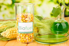 Scackleton biofuel availability