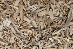 biomass boilers Scackleton